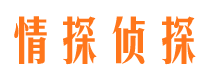 临沂找人公司